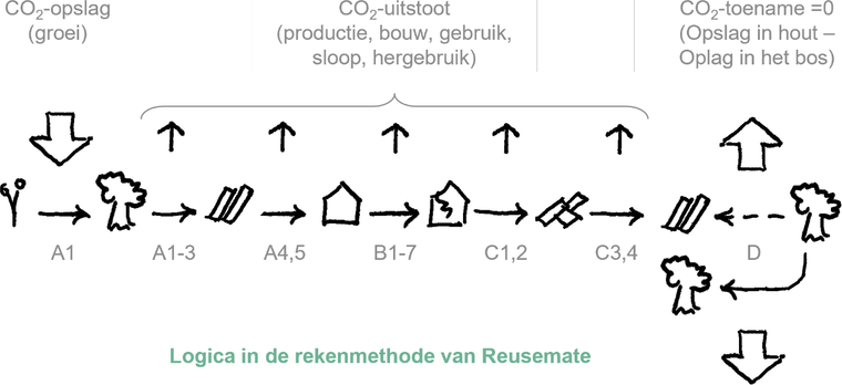Levenscyclus van hout dat wordt hergebruikt volgens de rekenmethode van Reusemate: de CO₂-toename in module D is 0, omdat de CO₂ die niet in nieuw hout wordt opgeslagen, opgeslagen blijft in het bos. Onderschrift: logica in de rekenmethode van Reusemate.